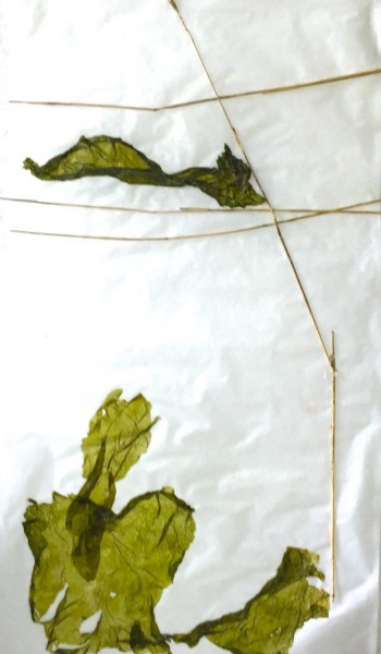 Fensterbild 03,  Pergament, Pflanzenteile, 60cm x30cm
